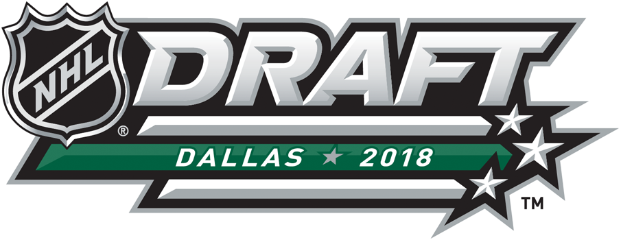 NHL Draft 2018 Alternate Logo iron on heat transfer